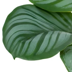 Banak Plantas Decorativas Artificiales^Basy