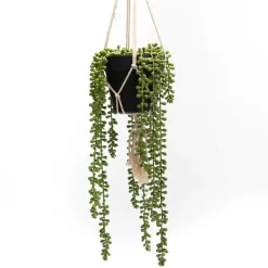 Banak Plantas Decorativas Artificiales^Kalen