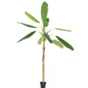 Banak Plantas Decorativas Artificiales^Kanas