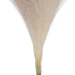 Banak Plantas Decorativas Artificiales^Kura