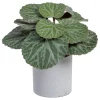 Banak Plantas Decorativas Artificiales^Lampe