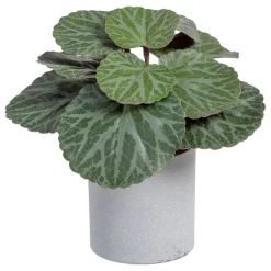 Banak Plantas Decorativas Artificiales^Lampe